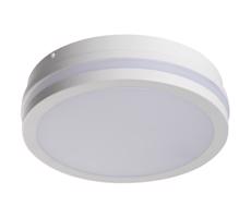 33340 - LED Oświetlenie zewnętrzne BENO LED/24W/230V IP54 białe