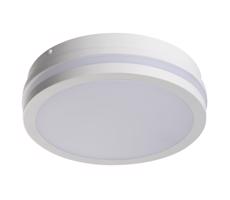 33344 - LED Oświetlenie zewnętrzne z czujnikiem BENO LED/24W/230V IP54 białe