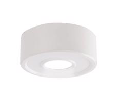 7204 - LED Oświetlenie punktowe ENA IL LED/10W/230V 3000K CRI 90 białe