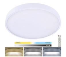 Brilagi-Ściemnialne oświetlenie LED POOL SMART LED/60W/230V 3000-6000 50 cm+pilot białe