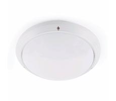 FARO 70722 - Plafon zewnętrzny DAKRON 1xE27/40W/230V IP65