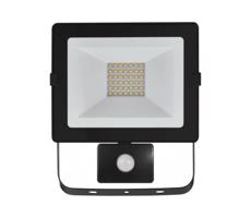 LED Naswietlacz z czujnikiem LED/30W/230V IP54