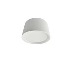 LED Oświetlenie punktowe LED/14W/230V 4000K śr. 12 cm białe