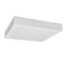 LED Plafon FENIX LED/24W/230V 3800K 29,8 cm