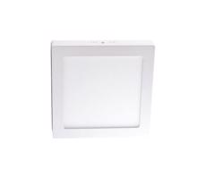 LED Plafon LED/12W/230V 4000K 17,2x17,2 cm