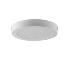 LED Plafon LED/12W/230V 6500K biały