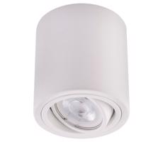 LED Reflektor TUBA 1xGU10/5W/230V 4000K biały