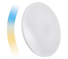 LED Ściemnialny plafon NYMPHEA LED/24W/230V 2700-6500K Wi-Fi Tuya