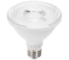 LED Żarówka PAR30 E27/12W/230V 6500K -