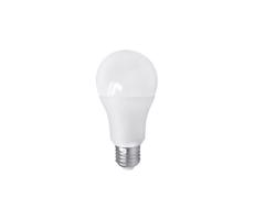 LED Żarówka PITT A60 AC/DC E27/12W/24V 4000K