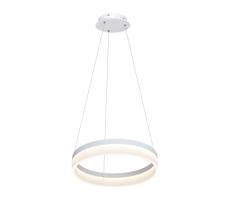 LED Żyrandol na lince RING LED/24W/230V