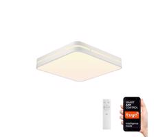 NEO 07155-W30 - LED Ściemniana lampa PERFECTO 24W/230V Wi-Fi Tuya + pilot