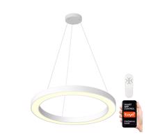 NEO - LED Żyrandol ściemnialny na lince PASTEL LED/66W/230V 95 cm + ZS