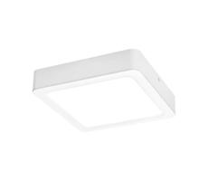 Rabalux 3174 - LED Plafon SHAUN LED/12W/230V 14,5 cm