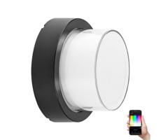 Rabalux 7246 - LED RGBW Oświetlenie zewnętrzne DURBE LED/10W/230V IP54 Wi-Fi Tuya