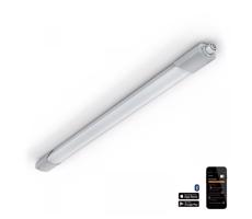 Steinel 079185-LED Lampa przemysłowa z czujnikiem RSPRO 5100SC LED/31W/230V IP66