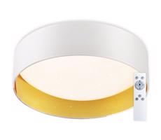 Top Light - LED Plafon ściemnialny LED/24W/230V +pilot biały