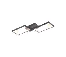 Trio - LED Ściemnalny żyrandol natynkowy CAFU 2xLED/7W/230V