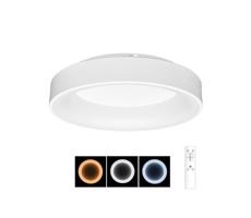 WMKL01R-40W/LED-BI - LED Oprawa ściemnialna NEST LED/40W/230V